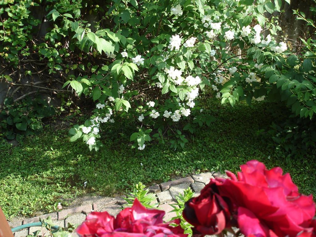 Liza Apartman Gyula Δωμάτιο φωτογραφία
